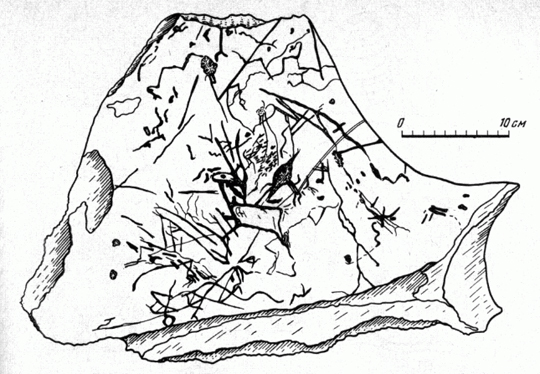 Image - The Molodove archeological site: a mammoth bone artefact.